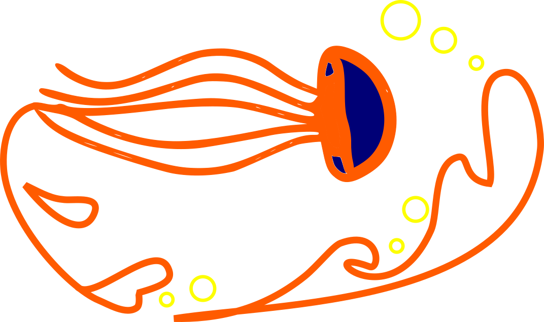 Course Image Morfología de hidromedusas (Medusozoa, Hydrozoa): Bases para su identificación