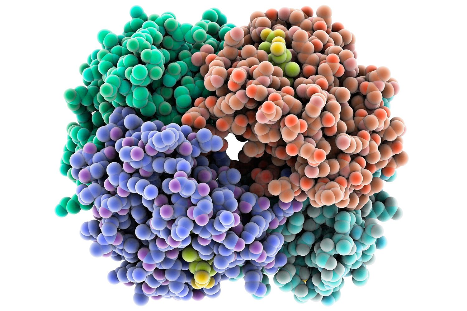 Course Image Bioquímica_Proteínas_2023
