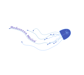 Course Image Propedéutico Medusozoa - 2022